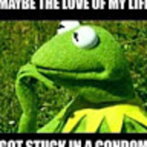 Meet your Posher, Diana